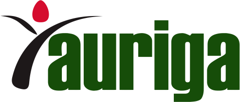 Auriga company logo in gray background with white text, rectangular shape with stylized text Auriga Nusantara